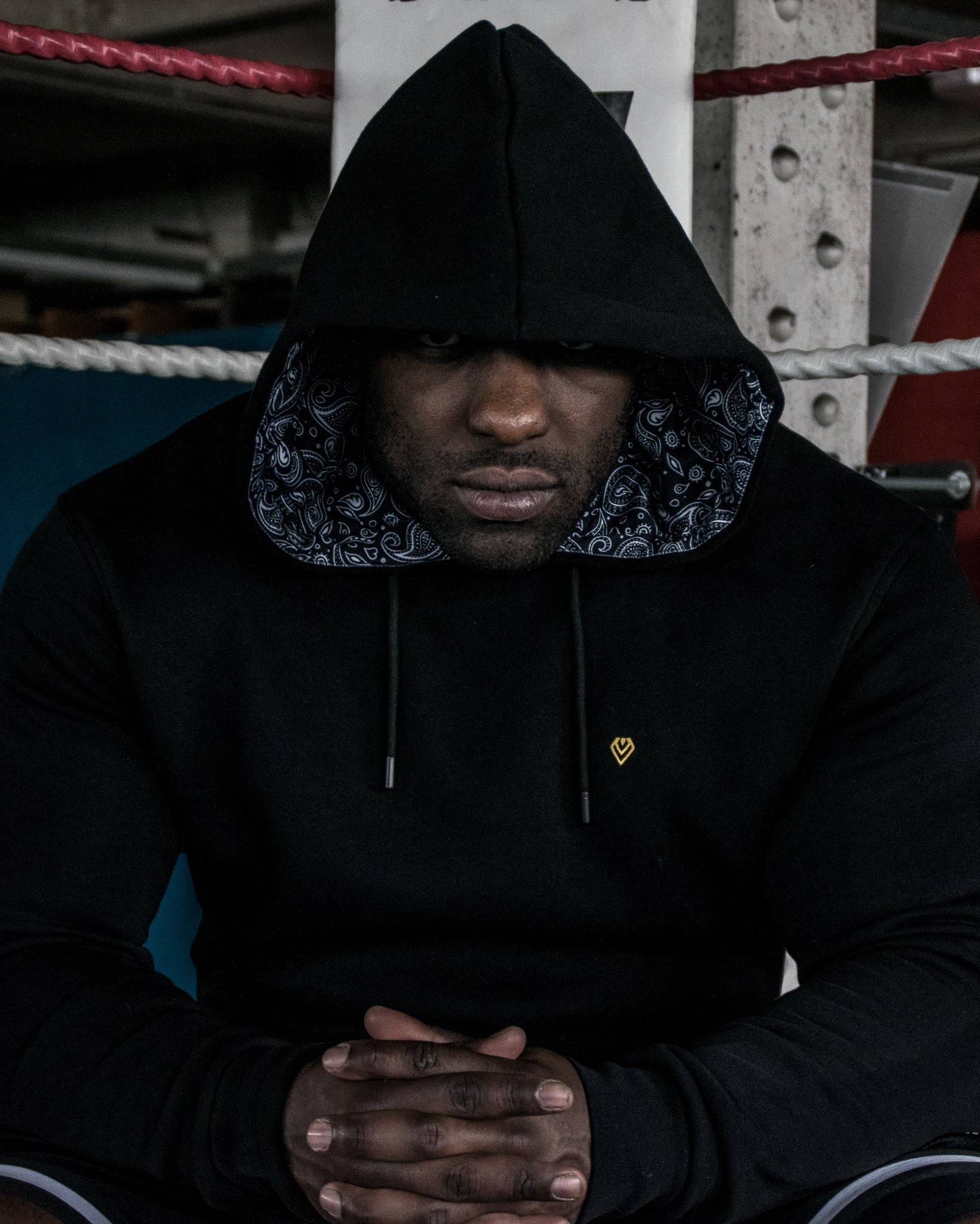Hoodies For Bodybuilders | Paradox Hoodie | Diamond Theory