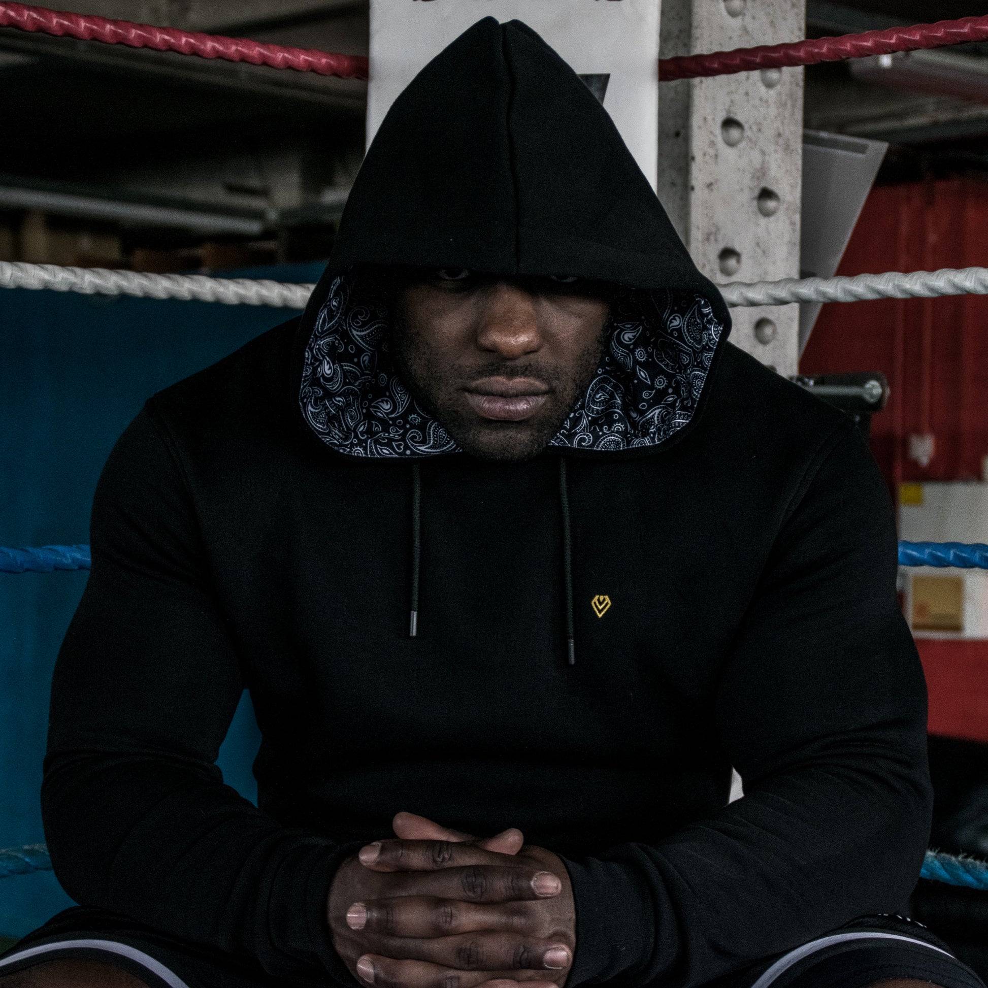 Hoodies For Bodybuilders | Paradox Hoodie | Diamond Theory